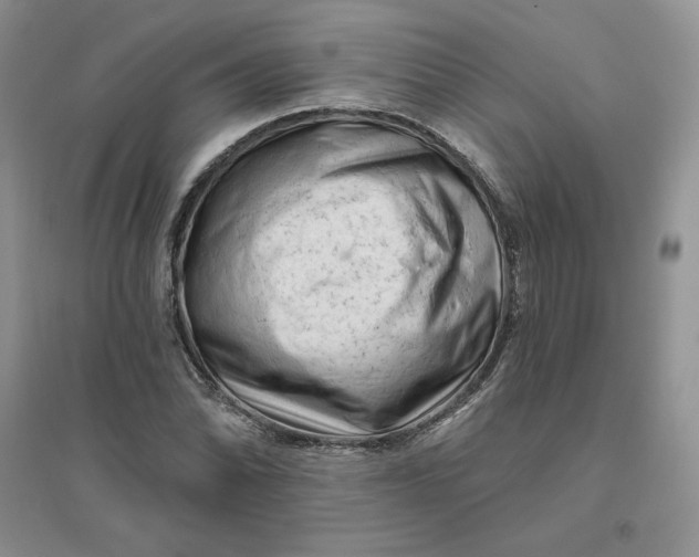 X0000096411070200802071650