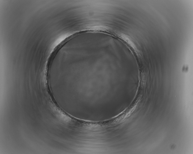 X0000096411071200802071650