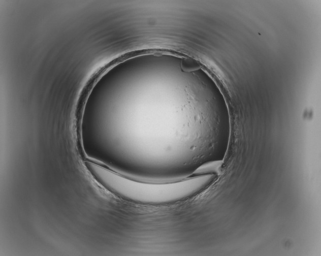 X0000096411072200802071650