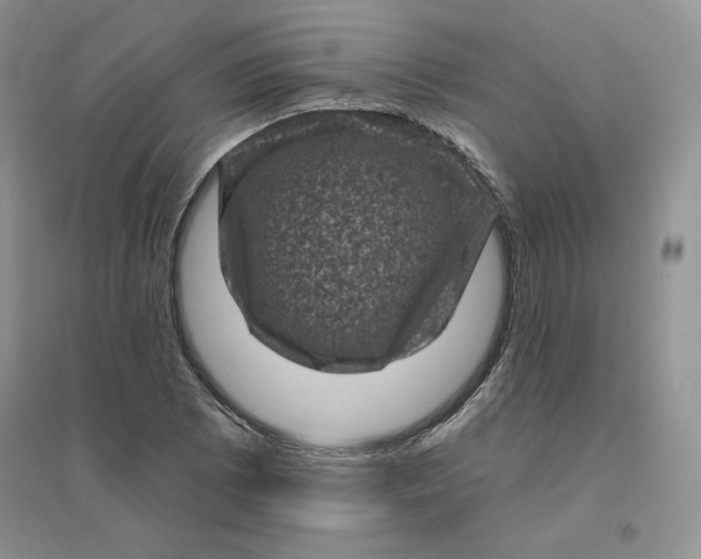 X0000096411073200802071650