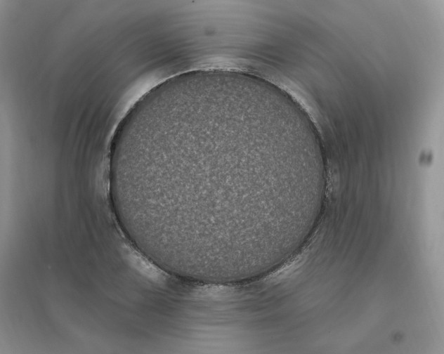 X0000096411075200802071650