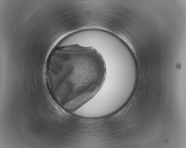 X0000096411076200802071649