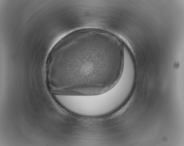 X0000096411077200802071649