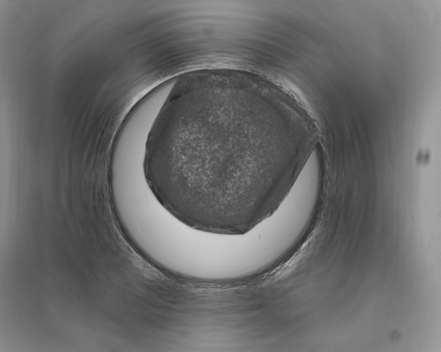 X0000096411081200802071649