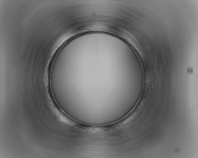 X0000096411082200802071649