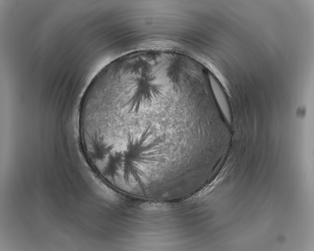 X0000096411083200802071649