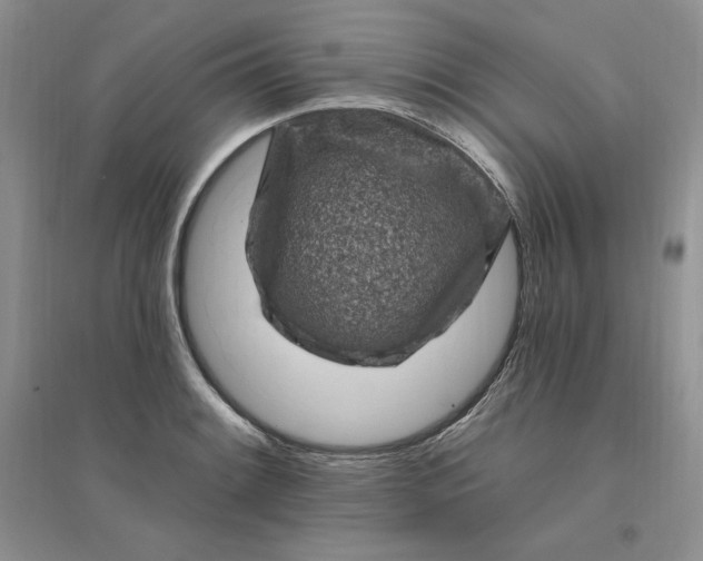 X0000096411084200802071649