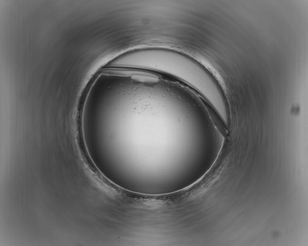 X0000096411085200802071649