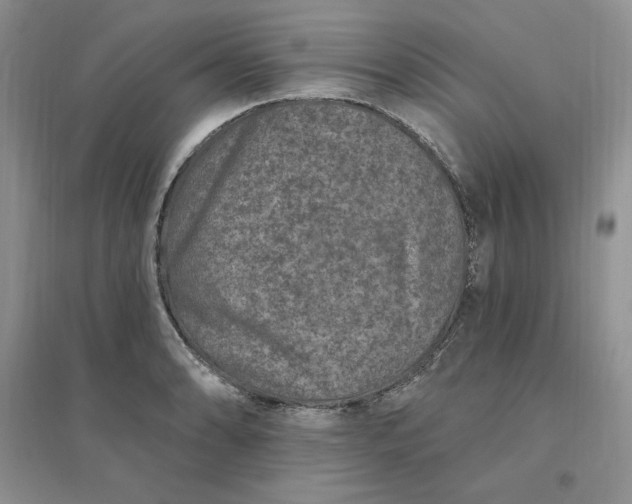X0000096411086200802071649
