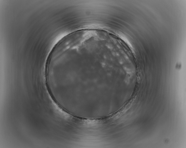 X0000096411087200802071649