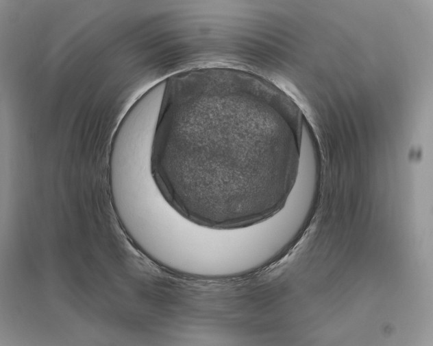 X0000096411089200802071649