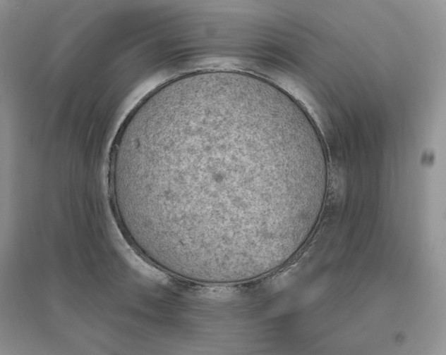 X0000096411090200802071649