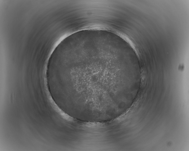 X0000096411091200802071649