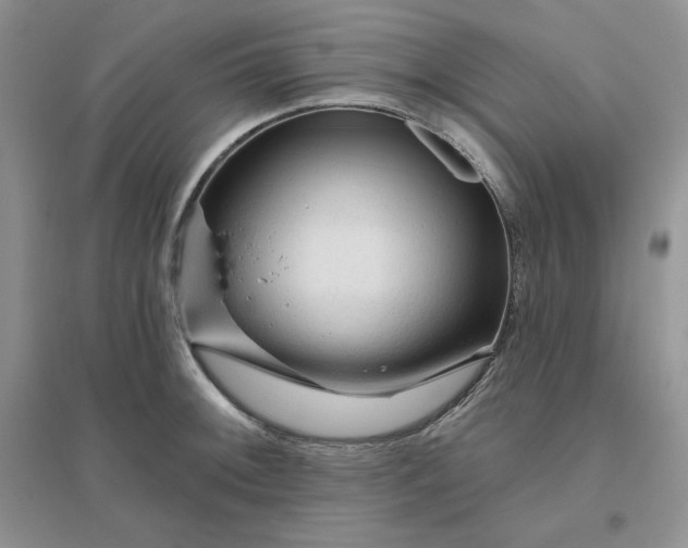 X0000096411092200802071649