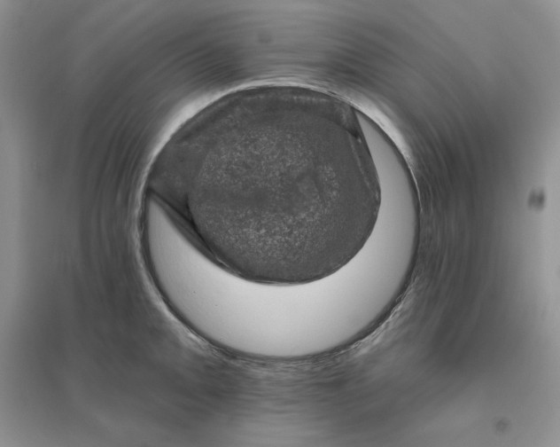 X0000096411093200802071649