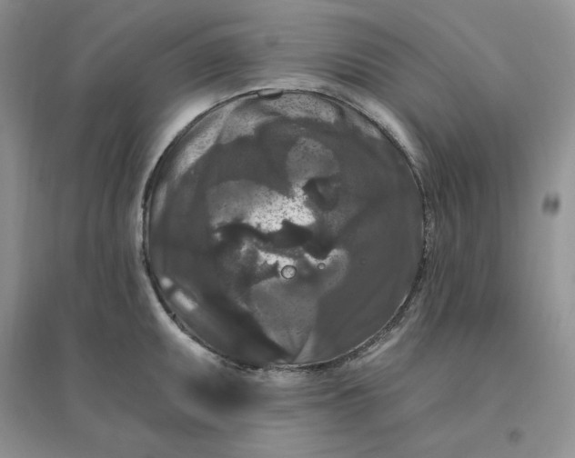 X0000096411095200802071649