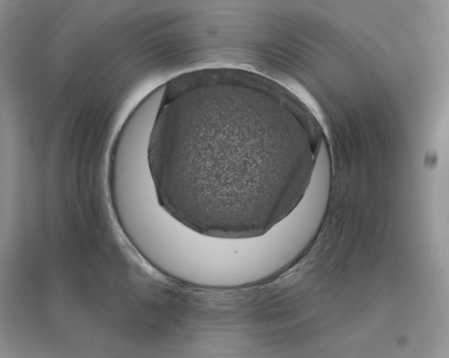 X0000096411096200802071649