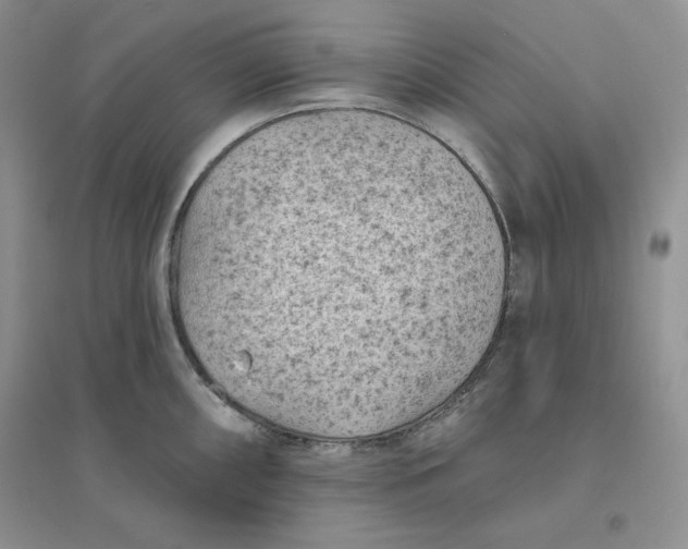 X0000096411098200802071649