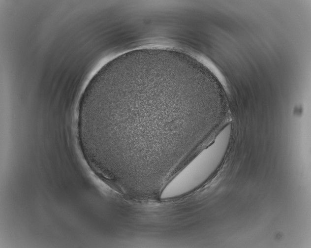 X0000096411099200802071649