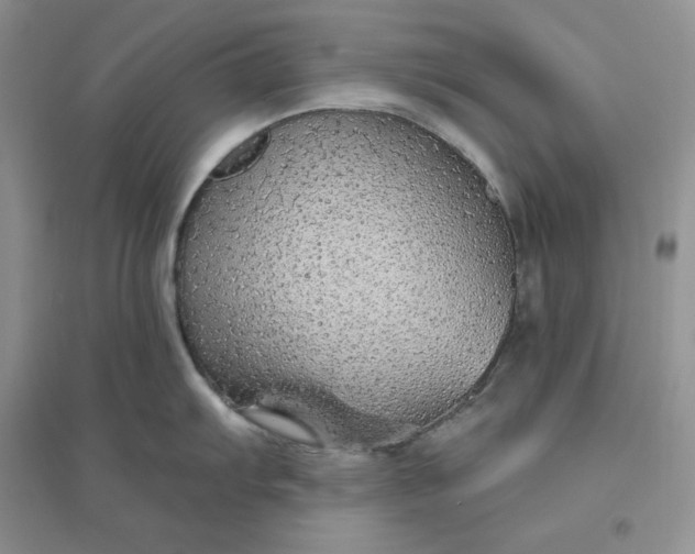 X0000096411103200802071649