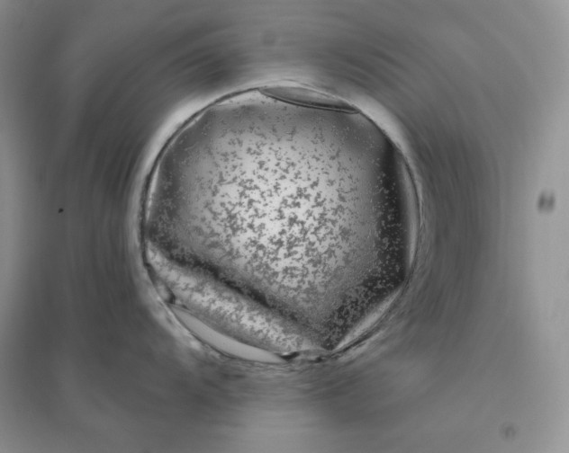 X0000096411104200802071649