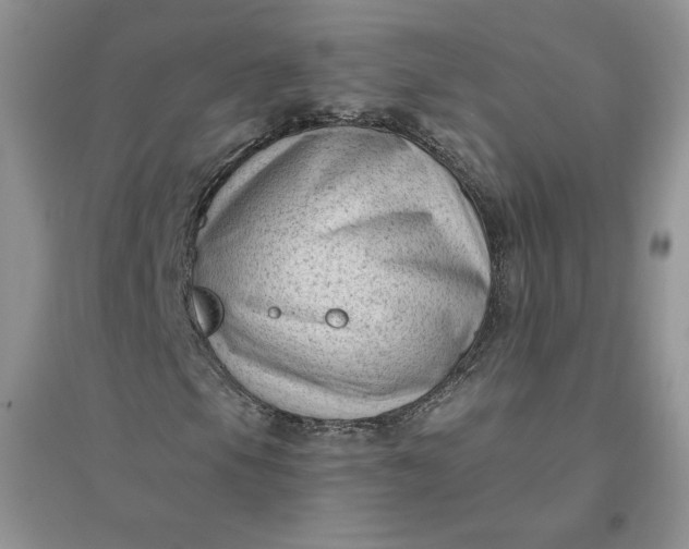 X0000096411105200802071648