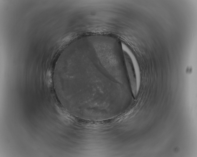 X0000096411106200802071648
