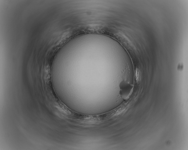 X0000096411107200802071648