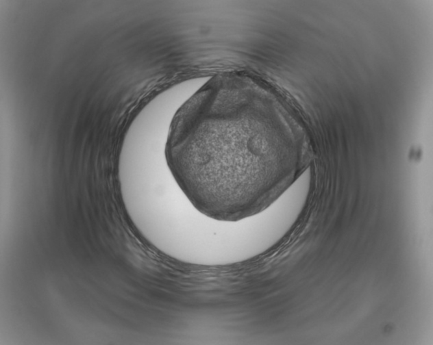 X0000096411108200802071648