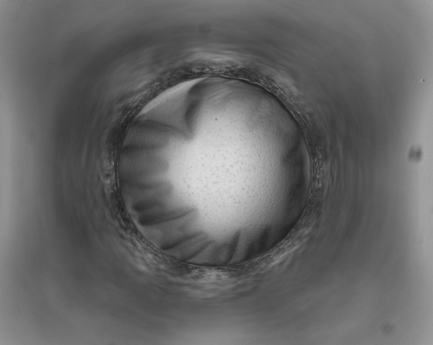 X0000096411109200802071648