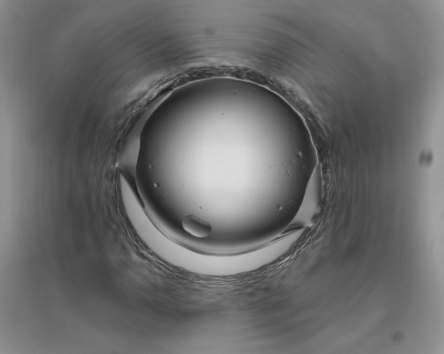 X0000096411110200802071649