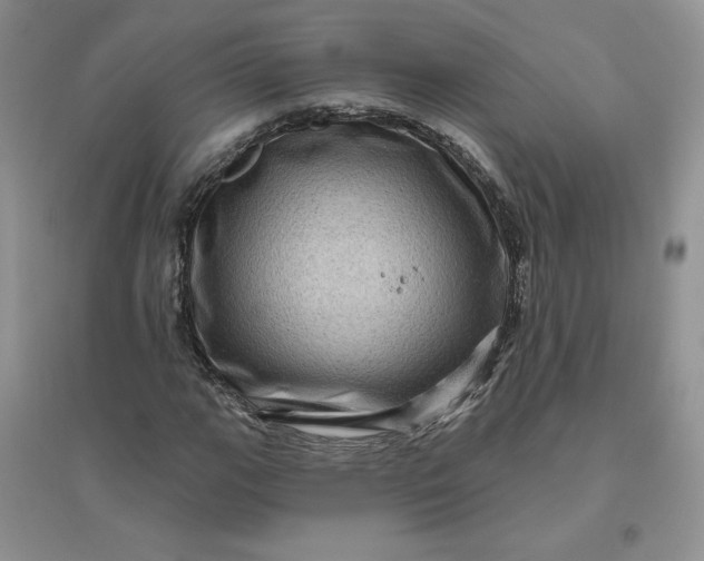 X0000096411111200802071649