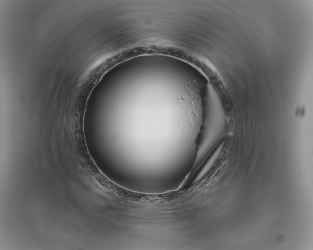 X0000096411112200802071649