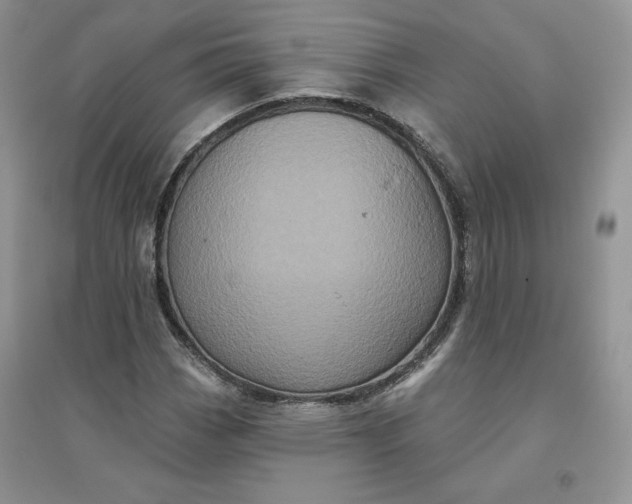 X0000096411113200802071649