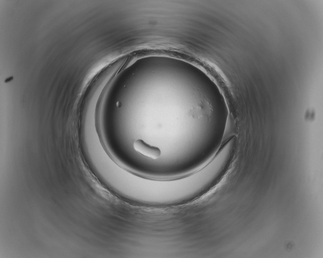 X0000096411114200802071649