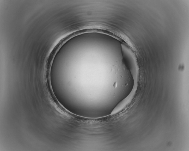 X0000096411116200802071649