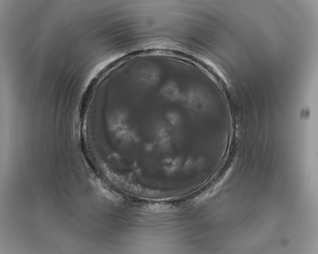 X0000096411117200802071649