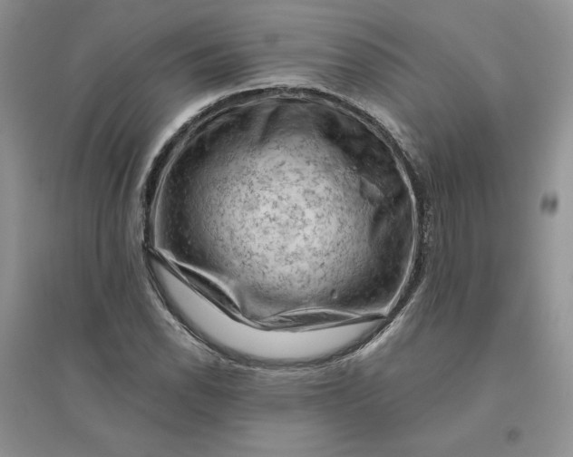 X0000096411118200802071649
