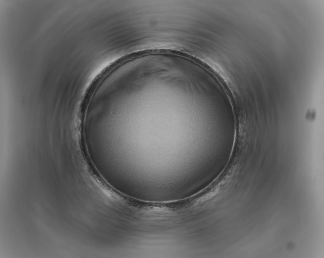 X0000096411119200802071649
