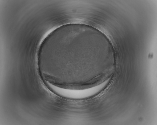 X0000096411120200802071649