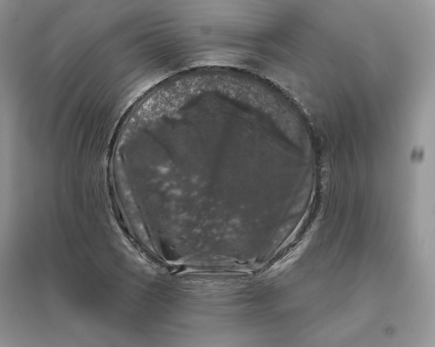 X0000096411121200802071649