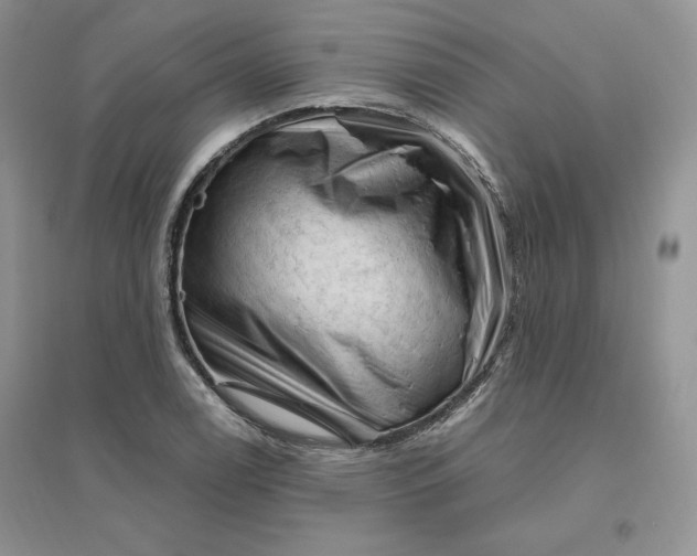 X0000096411122200802071649