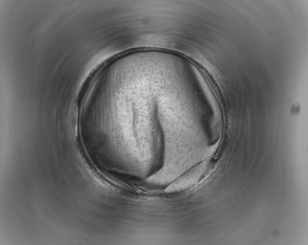 X0000096411123200802071649