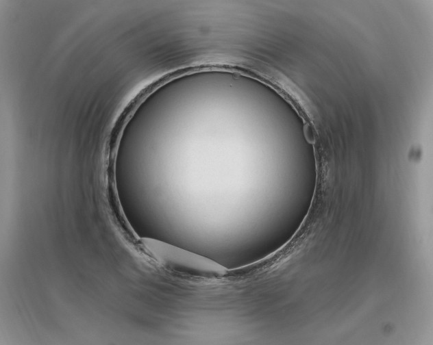 X0000096411124200802071649