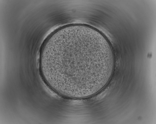 X0000096411126200802071649