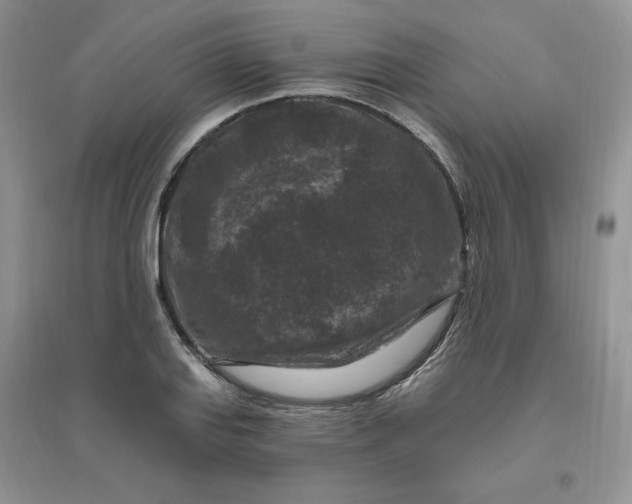 X0000096411127200802071649