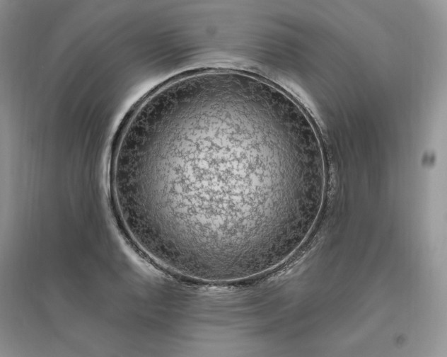 X0000096411128200802071649