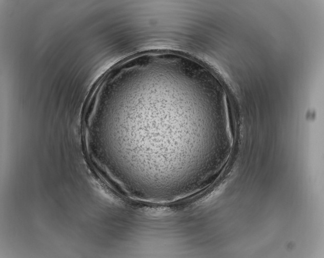 X0000096411129200802071649