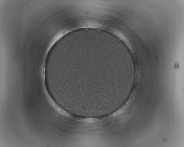 X0000096411130200802071649
