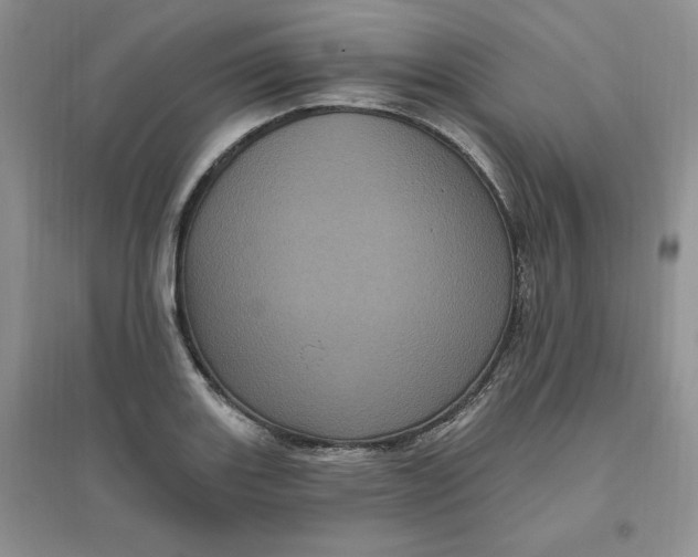 X0000096411131200802071649